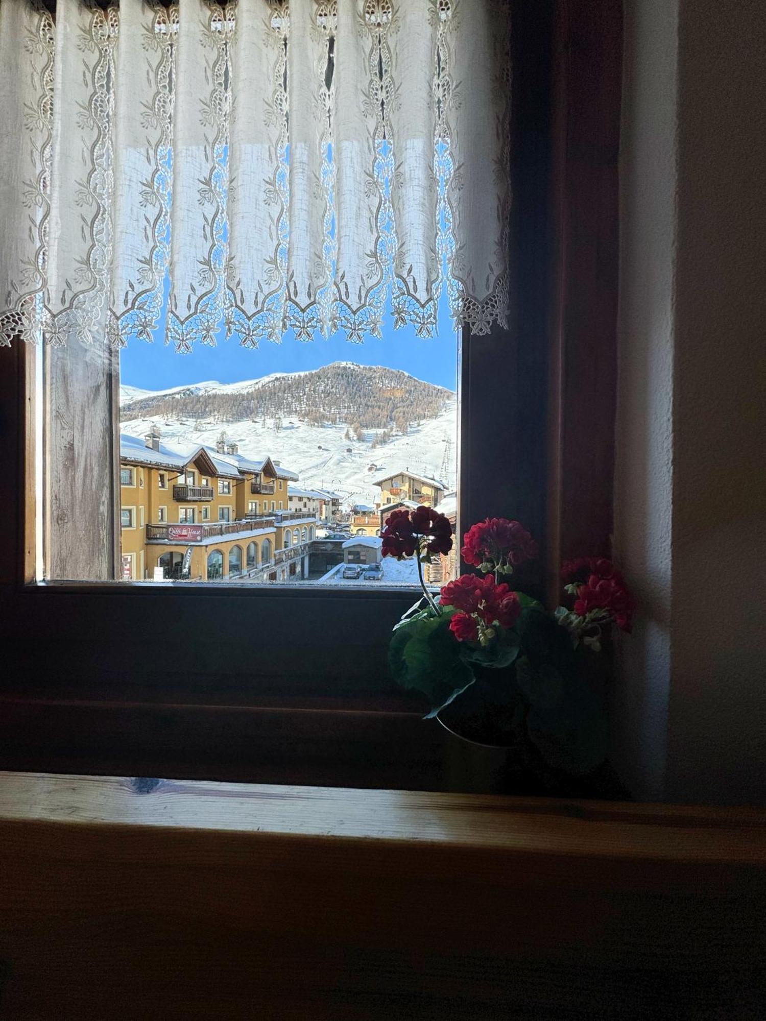 Appartement Elisir Petit